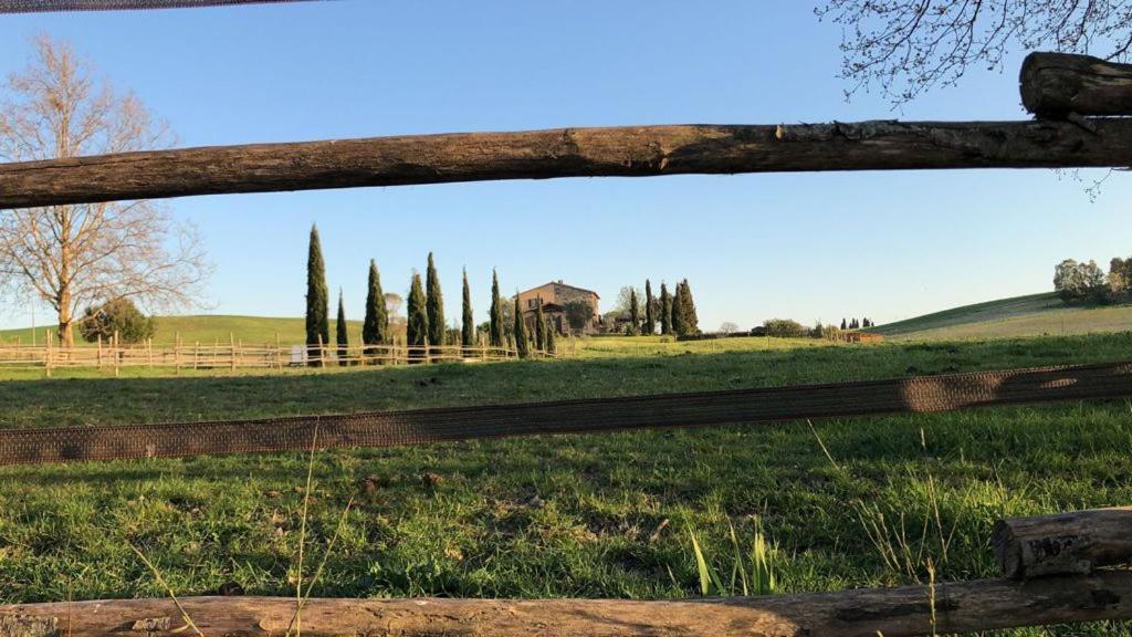 Bed And Breakfast Casale Del Sole Castellina Marittima Exterior photo