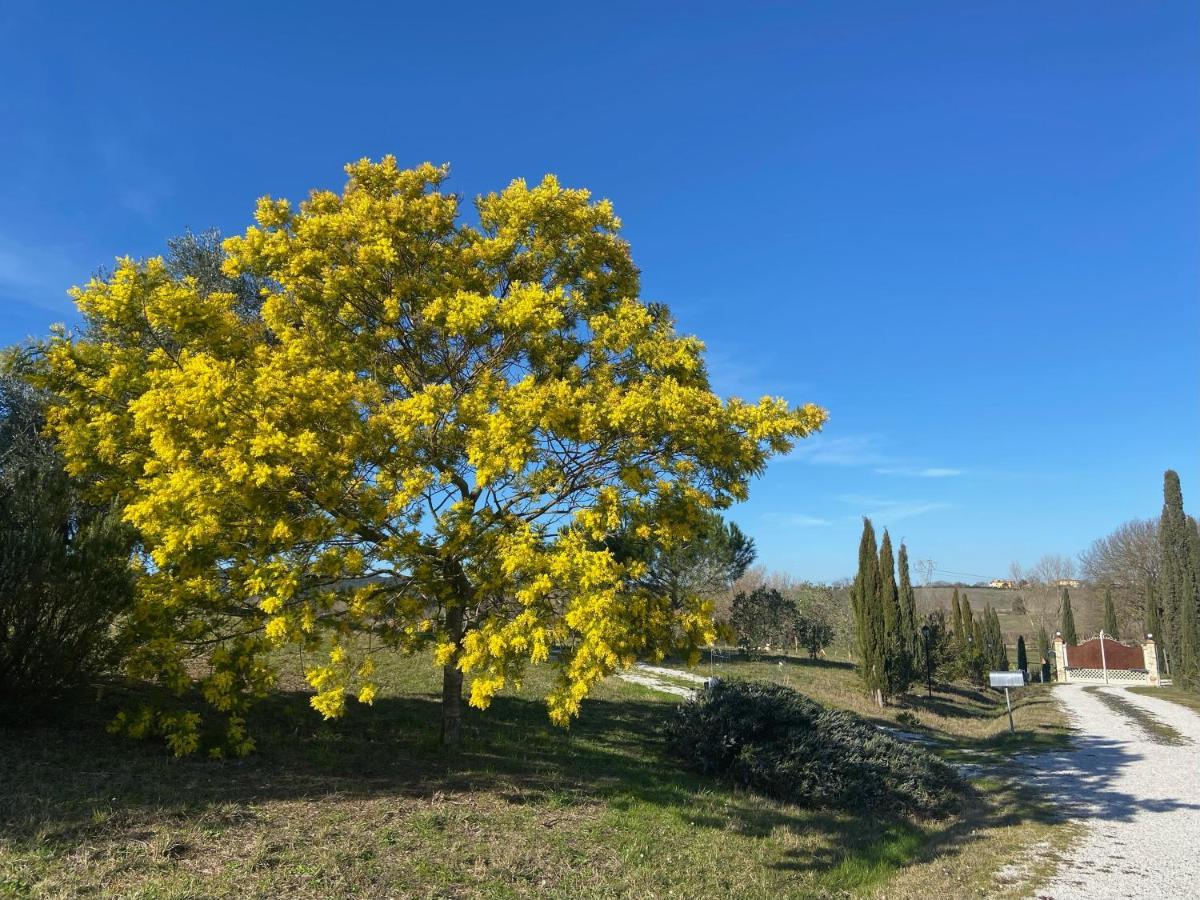 Bed And Breakfast Casale Del Sole Castellina Marittima Exterior photo