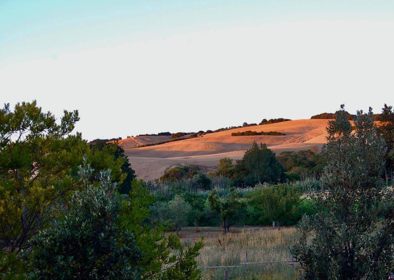 Bed And Breakfast Casale Del Sole Castellina Marittima Exterior photo