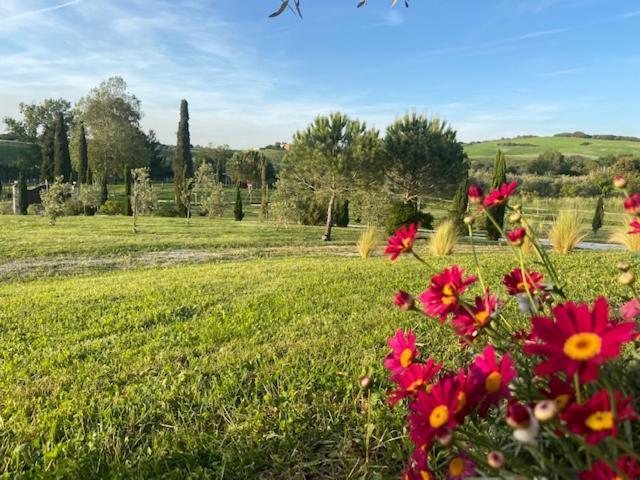 Bed And Breakfast Casale Del Sole Castellina Marittima Exterior photo