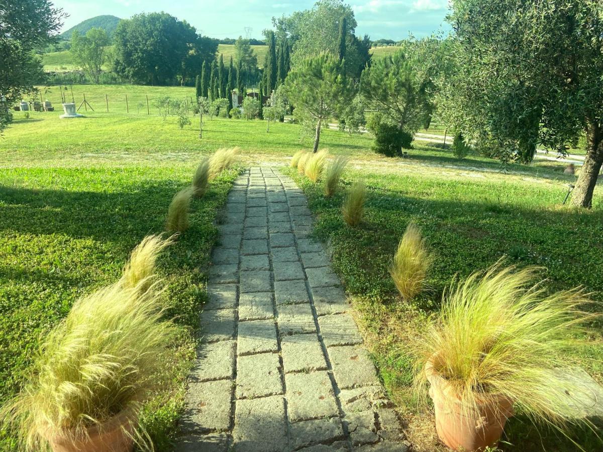 Bed And Breakfast Casale Del Sole Castellina Marittima Exterior photo